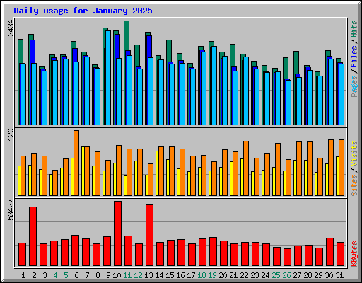 Daily usage for January 2025