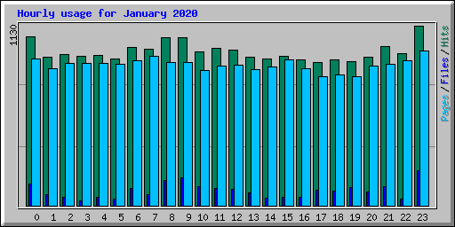 Hourly usage for January 2020