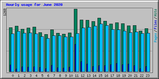 Hourly usage for June 2020