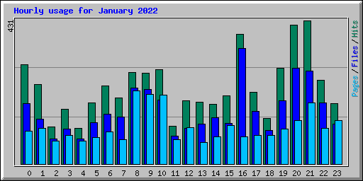Hourly usage for January 2022
