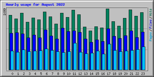 Hourly usage for August 2022