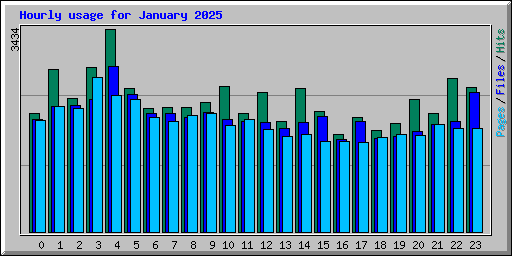 Hourly usage for January 2025