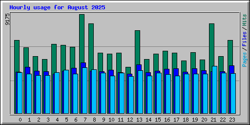 Hourly usage for August 2025