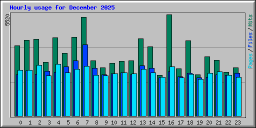 Hourly usage for December 2025