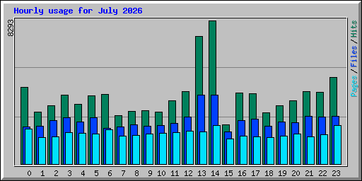 Hourly usage for July 2026